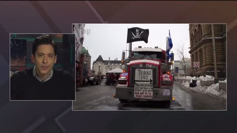 Michael Knowles Justin Trudeau threatens to kill the Freedom Truckers dogs 🐶