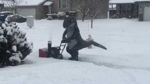 Velociraptor Fights Ice Age One Driveway at a Time
