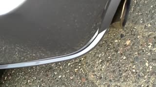 Supercharged Mustang Exhaust note