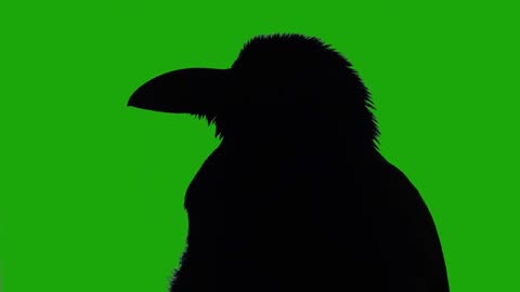 Green Screen Horror Raven effect _ creepy Halloween background video