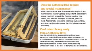 What is a Cathedral Hive?