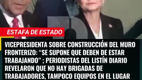 Vicepresidenta sobre construcción de muro fronterizo: “Se supone que deben de estar trabajando”