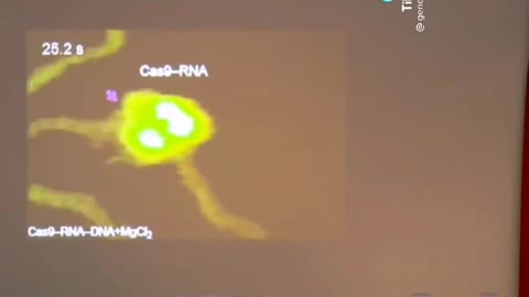 LA PROTEINA CAS9 DE LAS VACUNAS COVID19 CORTA EL ADN