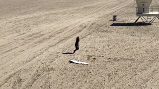 Guy in wetsuit does stretches on the beach next to surfboard