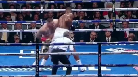 THE WORLD OF BOXING