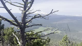 Alpine Zone Hiking on Black Butte Trail – Deschutes National Forest – Central Oregon – 4K