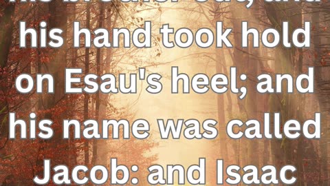 "Birth of Jacob and Esau" Genesis 25:26