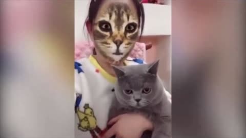 Funny cats - Cat Reaction Ever