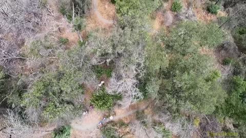 CHP hoists an unconscious hiker on the Vista Trail