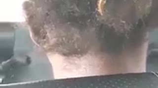 beetle walks quietly in a woman's hair