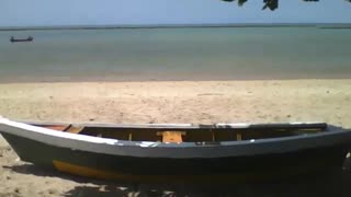 Filming a fishing boat on the beach sand under a tree and the sea [Nature & Animals]