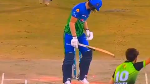 fans-video cricket lovers-video #cricket #cricketlover