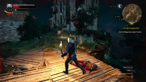 the witcher 3 wild hunt Learning the basics 3