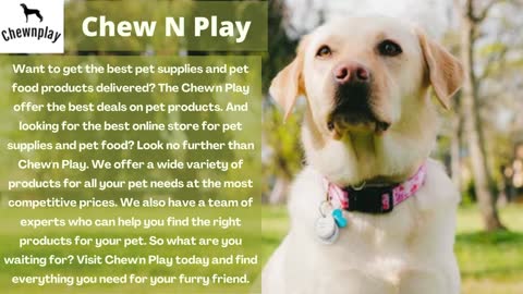 Cheap Online Pet Stores - Chew N Play