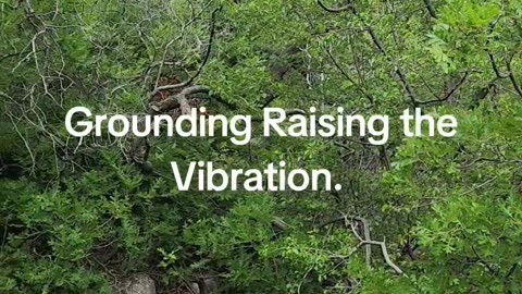 Grounding Raising the Vibration.