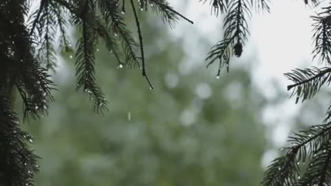 Sound of thunder meditation