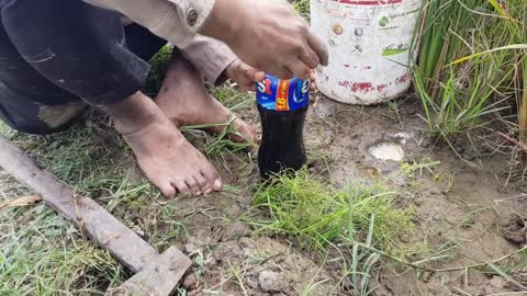 Smart Primitive MAN Catches A Fish From DEEP HOLE Using COCA-COLA