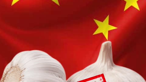 Chinese Garlic or gamble? USA Senator Scott #usa #ussenate #GarlicGate #ReelNews #news #usa #garlic