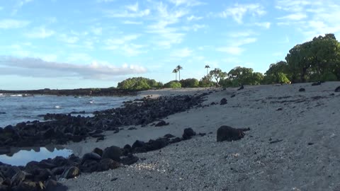 Kailua-Kona, HI — Kohanaiki Beach Park (Pine Trees Beach)