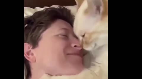 New Funny Videos 2023😍 Cutest Cats and Dogs 🐱🐶