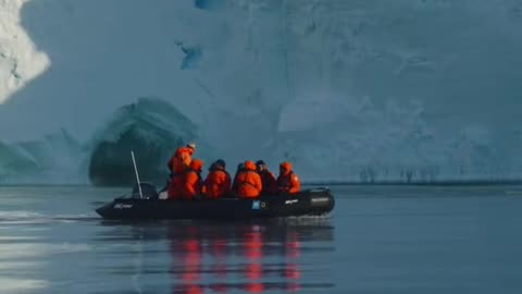 Mysterious creature spotted at Antarctica