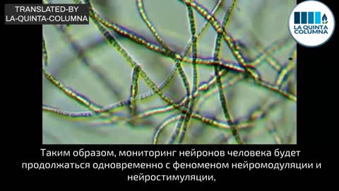 Углеродные нанотрубки на основе Графена, само-собранные в "вакцине" PFIZER.