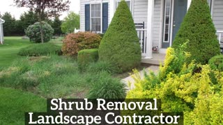 Shrub Removal Hancock Maryland Landscape Contractor