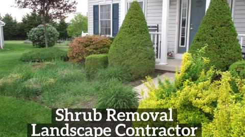 Shrub Removal Hancock Maryland Landscape Contractor