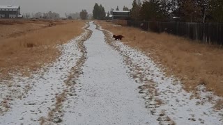 Beckett's First Snow