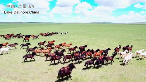 One of the four famous lakes in Inner Mongolia