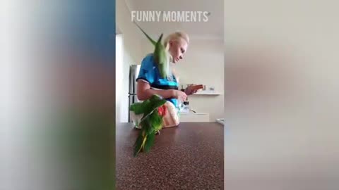 Smart And Funny Parrots - Parrot Talking Videos 2021!