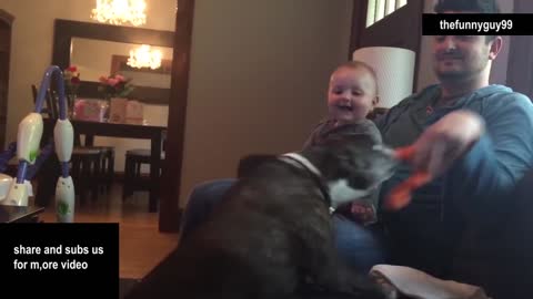 Little boy playing with dog and cat