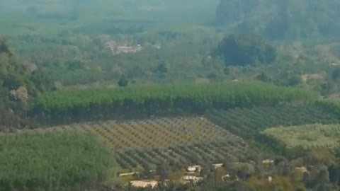 Aerial view of a beautiful green landscape full of relief