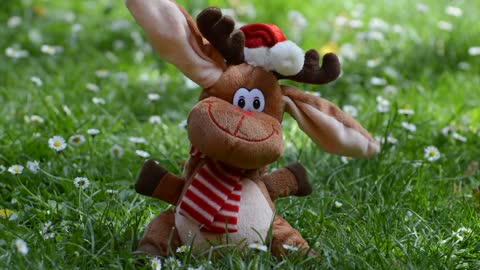 cute and very sweet and happy reindeer