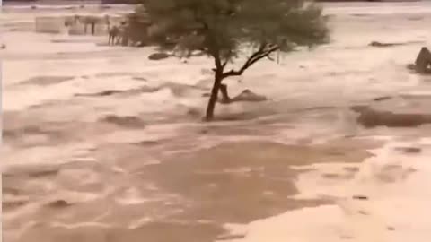 Desert flood in Saudi Arabia