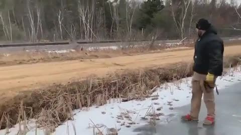 Deer is Slippering on the icy river