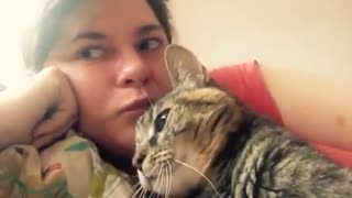 Talking cat says NO! to kisses on the head