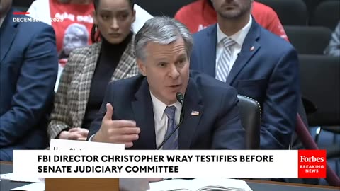 Josh Hawley Grills Director Wray About Whistleblower's Claims About 'Personal' Use Of FBI Jet