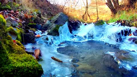morning in nature with a small river defrosting