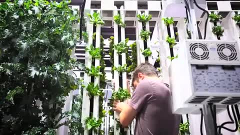 Vertical Grow with LightRail Light Mover and Bright Agrotech ZipFarm