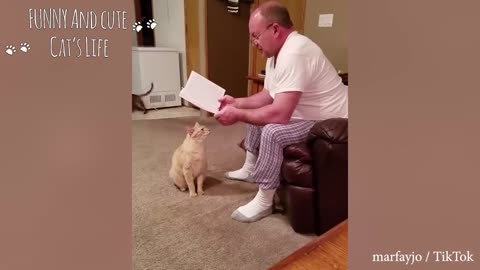 Cats Most Emotional Moments showing love to Owner Ever