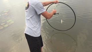 Giant fish jumps through a hoop