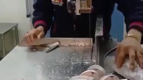 Amazing fish cutting ✂️