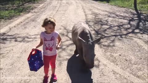 Baby Rhino Charging -FUNNIEST Compilation
