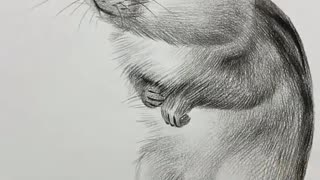 Amazing Pencil Drawing 3D Art Satisfying Drawing Squirrel