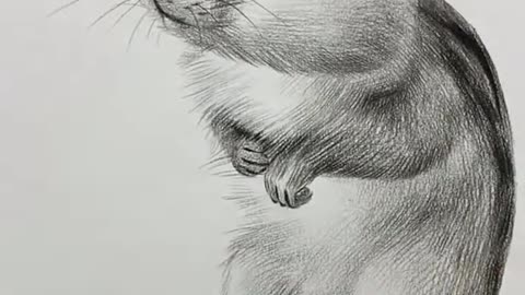 Amazing Pencil Drawing 3D Art Satisfying Drawing Squirrel