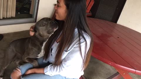Adorably Jealous Dog Won't Let Owner Near His Girlfriend