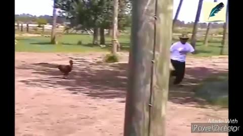 Think twice before touching the chicken, BE CAREFUL