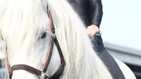 Little boy shares special bond with his horse