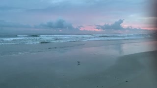 Atlantic Ocean / NewSmyrna Beach